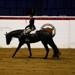 KIZZ MY IRONS - Out of Kizzy Nostra